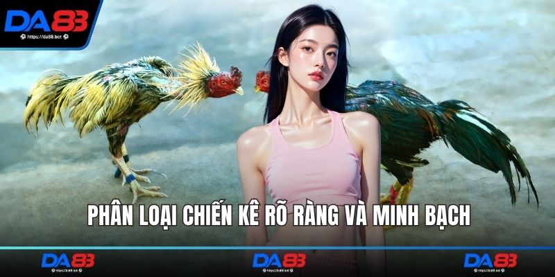 Phân loại chiến kê rõ ràng và minh bạch